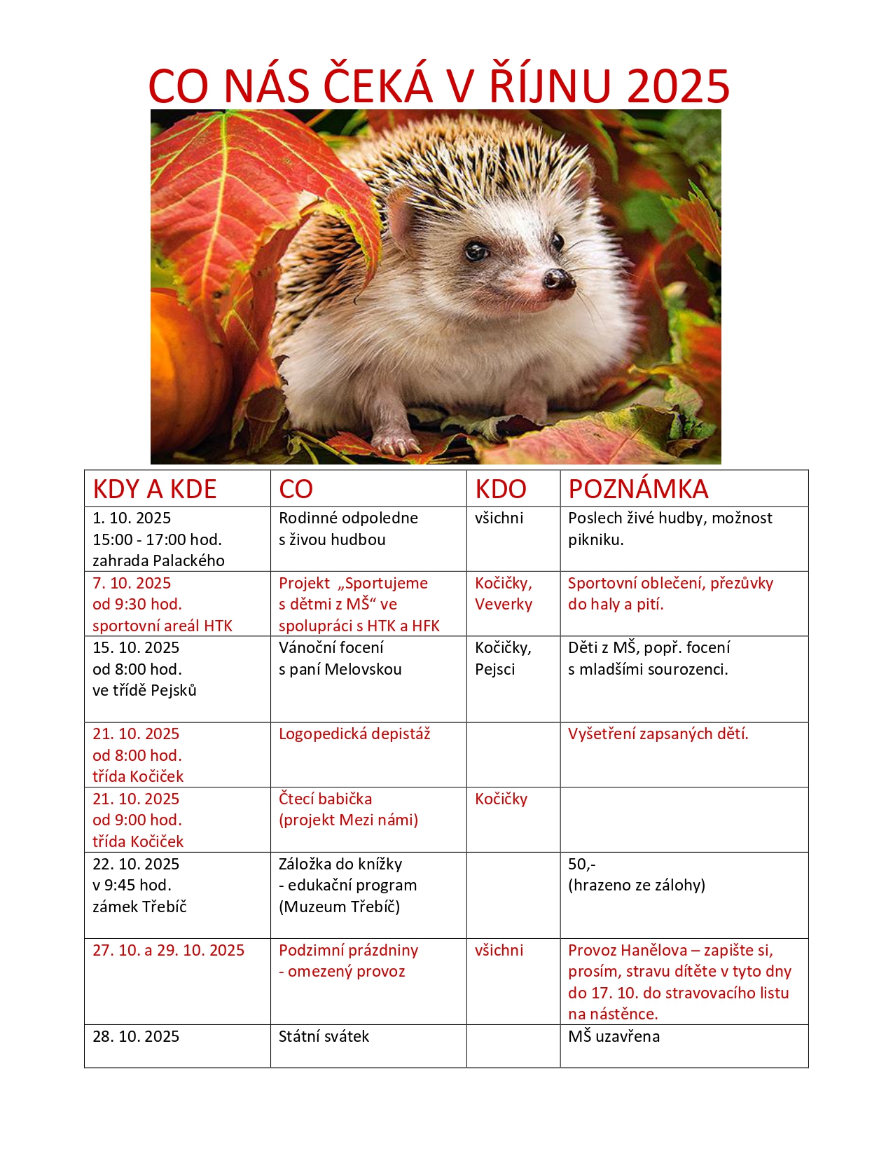 Akce v říjnu 2025 - Kočičky