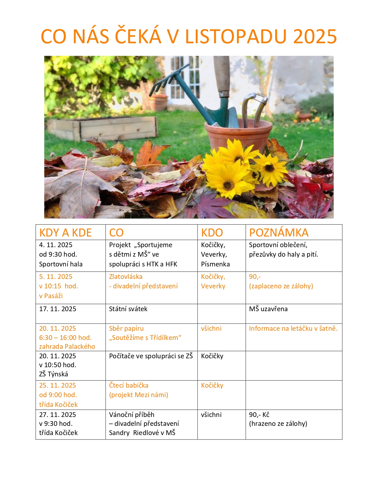 Akce v listopadu 2025 - Kočičky